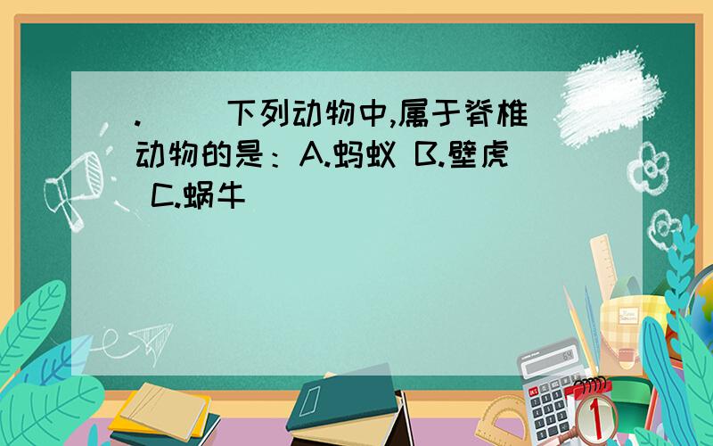 .（ ）下列动物中,属于脊椎动物的是：A.蚂蚁 B.壁虎 C.蜗牛