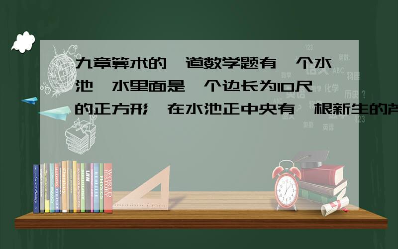 九章算术的一道数学题有一个水池,水里面是一个边长为10尺的正方形,在水池正中央有一根新生的芦苇,他高出水面1尺,如果把这根笔直的芦苇拉向岸边,他的顶端恰好达到岸边的睡眠,请问这个