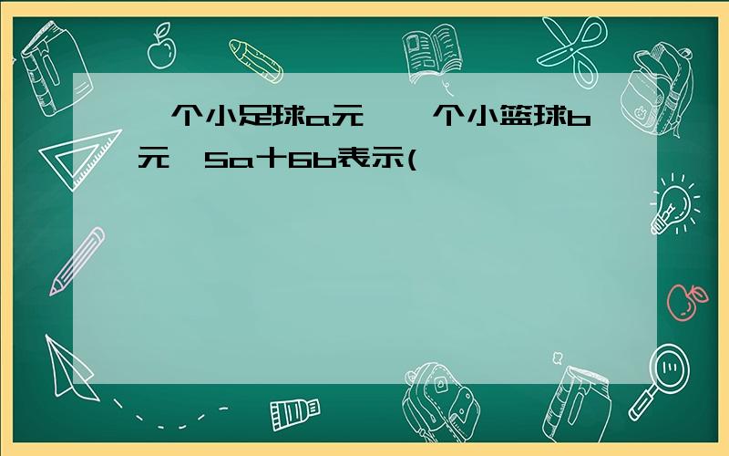 一个小足球a元,一个小篮球b元,5a十6b表示(