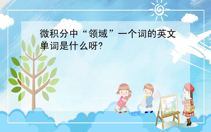 微积分中“领域”一个词的英文单词是什么呀?