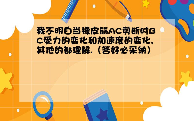 我不明白当橡皮筋AC剪断时BC受力的变化和加速度的变化,其他的都理解.（答好必采纳）