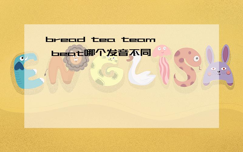 bread tea team beat哪个发音不同