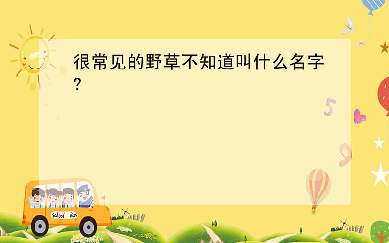 很常见的野草不知道叫什么名字?