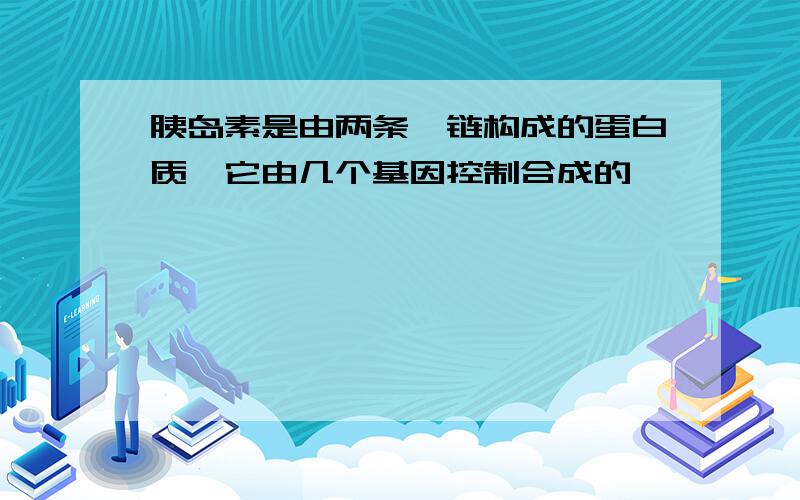 胰岛素是由两条肽链构成的蛋白质,它由几个基因控制合成的