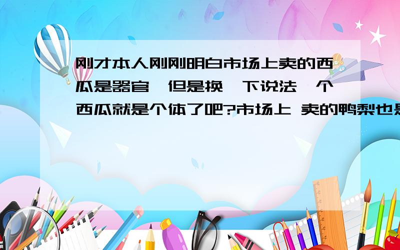 刚才本人刚刚明白市场上卖的西瓜是器官,但是换一下说法一个西瓜就是个体了吧?市场上 卖的鸭梨也是器官吧