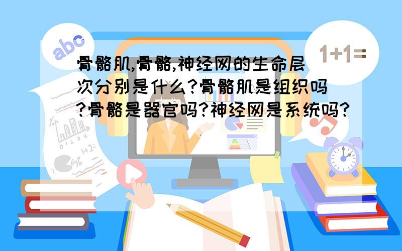 骨骼肌,骨骼,神经网的生命层次分别是什么?骨骼肌是组织吗?骨骼是器官吗?神经网是系统吗?