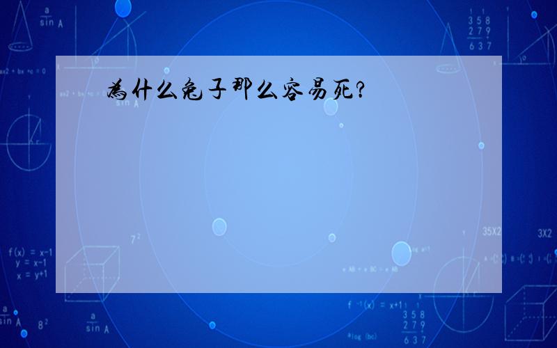 为什么兔子那么容易死?