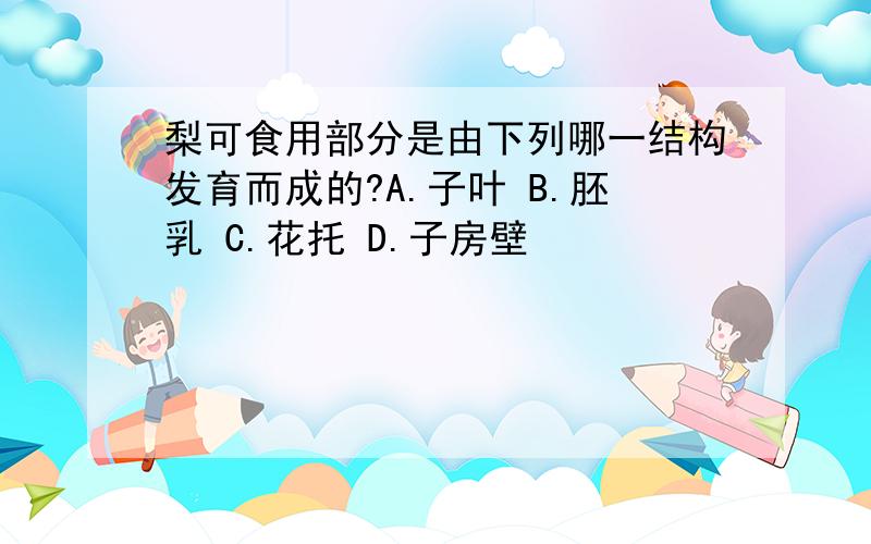 梨可食用部分是由下列哪一结构发育而成的?A.子叶 B.胚乳 C.花托 D.子房壁