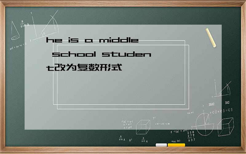 he is a middle school student改为复数形式