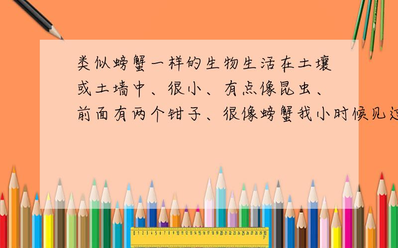 类似螃蟹一样的生物生活在土壤或土墙中、很小、有点像昆虫、前面有两个钳子、很像螃蟹我小时候见过两次的没有尾巴 也不是像蝎子 整体呈椭圆形当时我年纪还小 家庭不是很富裕 所以没