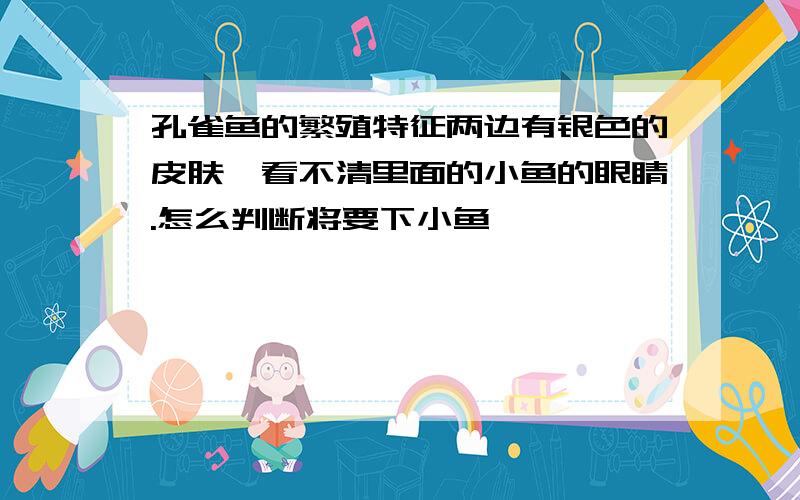 孔雀鱼的繁殖特征两边有银色的皮肤,看不清里面的小鱼的眼睛.怎么判断将要下小鱼