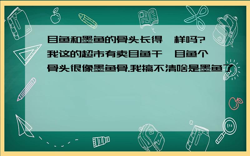 目鱼和墨鱼的骨头长得一样吗?我这的超市有卖目鱼干,目鱼个骨头很像墨鱼骨.我搞不清啥是墨鱼了