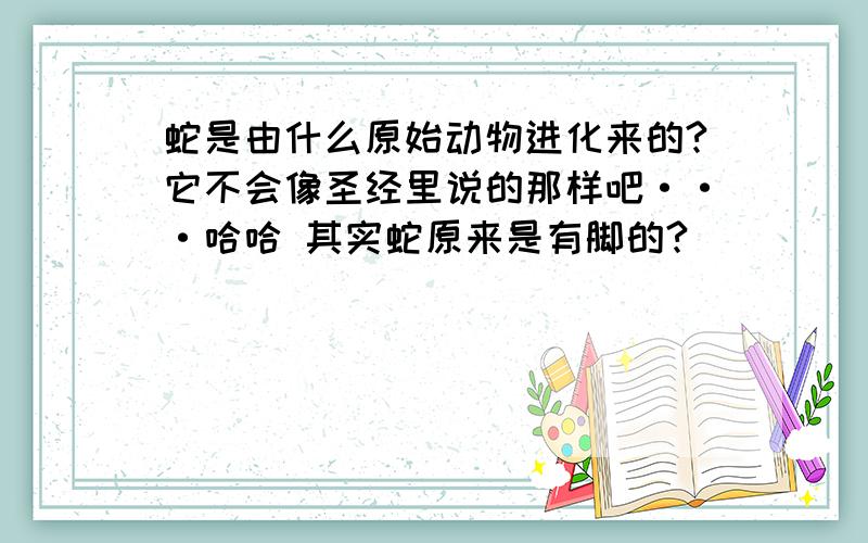 蛇是由什么原始动物进化来的?它不会像圣经里说的那样吧···哈哈 其实蛇原来是有脚的?