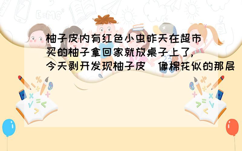 柚子皮内有红色小虫昨天在超市买的柚子拿回家就放桌子上了,今天剥开发现柚子皮（像棉花似的那层）里有红色的小虫子,长度约3mm,这是什么虫?柚子还能吃吗?