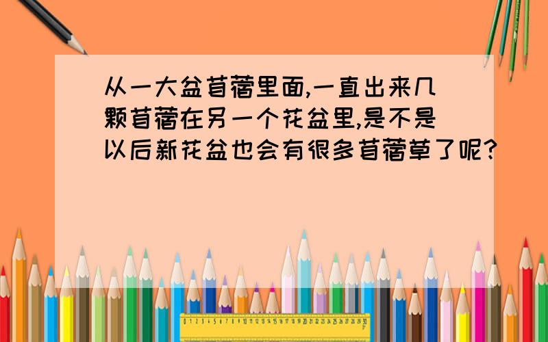 从一大盆苜蓿里面,一直出来几颗苜蓿在另一个花盆里,是不是以后新花盆也会有很多苜蓿草了呢?