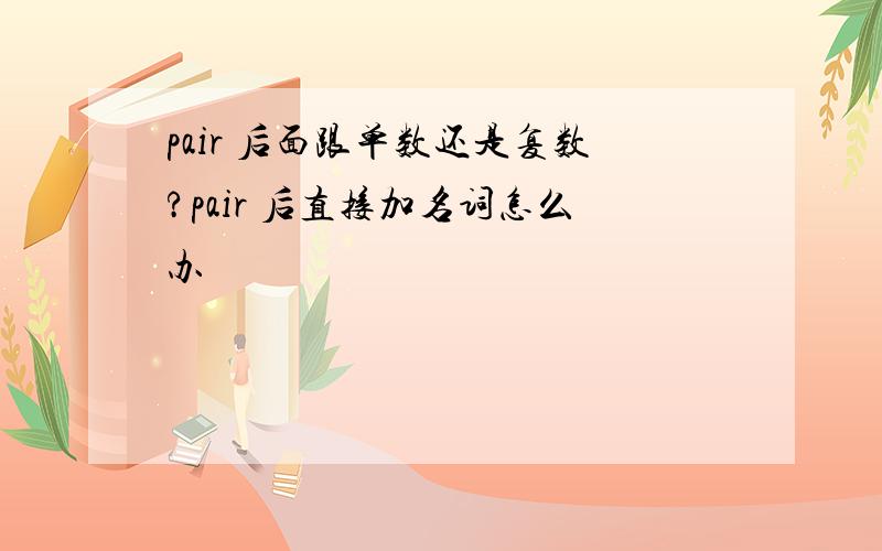 pair 后面跟单数还是复数?pair 后直接加名词怎么办