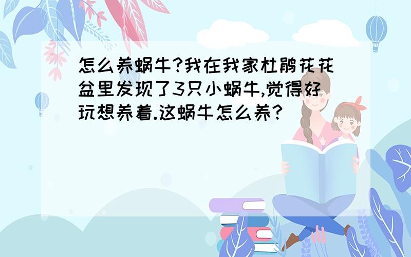 怎么养蜗牛?我在我家杜鹃花花盆里发现了3只小蜗牛,觉得好玩想养着.这蜗牛怎么养?