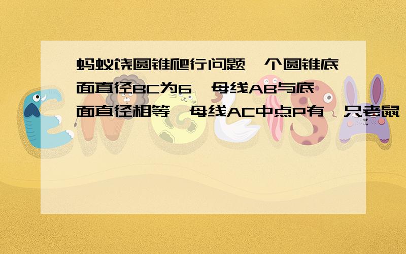 蚂蚁饶圆锥爬行问题一个圆锥底面直径BC为6,母线AB与底面直径相等,母线AC中点P有一只老鼠,猫在B处,它要沿圆锥侧面到达P,则最短路程为多少,