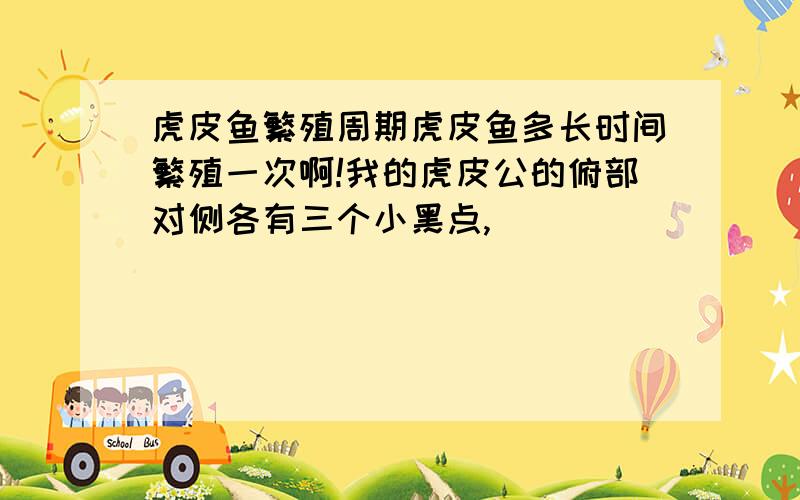 虎皮鱼繁殖周期虎皮鱼多长时间繁殖一次啊!我的虎皮公的俯部对侧各有三个小黑点,