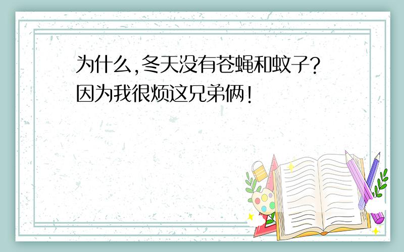 为什么,冬天没有苍蝇和蚊子?因为我很烦这兄弟俩!