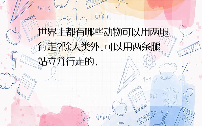 世界上都有哪些动物可以用两腿行走?除人类外,可以用两条腿站立并行走的.