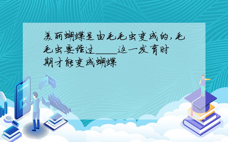 美丽蝴蝶是由毛毛虫变成的,毛毛虫要经过____这一发育时期才能变成蝴蝶