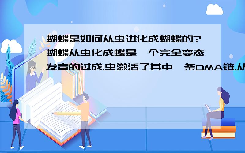 蝴蝶是如何从虫进化成蝴蝶的?蝴蝶从虫化成蝶是一个完全变态发育的过成.虫激活了其中一条DMA链.从而进行变态发育.然而不同的两个形态是如何同一生物体上发生的?我们是否也有类蝴蝶的DM