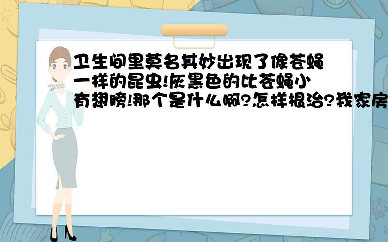 卫生间里莫名其妙出现了像苍蝇一样的昆虫!灰黑色的比苍蝇小有翅膀!那个是什么啊?怎样根治?我家房子是新的刚住进半年的,卫生间墙壁近期有一种会飞的小昆虫在墙壁了``..身长有两毫米左