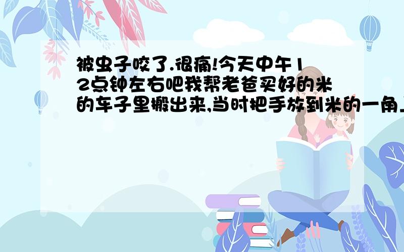 被虫子咬了.很痛!今天中午12点钟左右吧我帮老爸买好的米的车子里搬出来,当时把手放到米的一角上准备拖出来,然后觉得有点刺痛,接着是非常非常的刺痛!我便把手抽出来一看,当时没怎么看