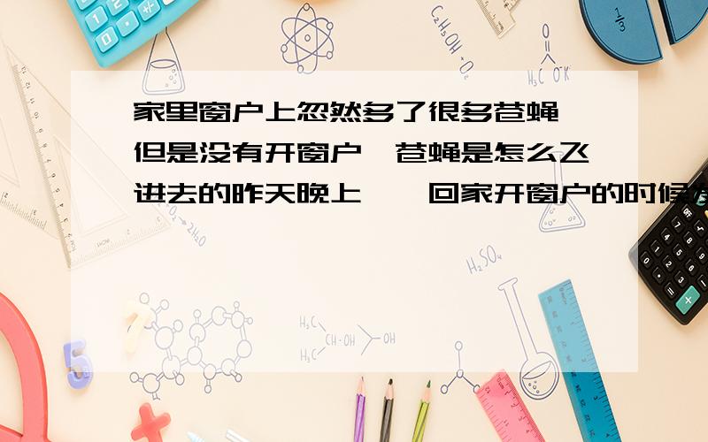 家里窗户上忽然多了很多苍蝇,但是没有开窗户,苍蝇是怎么飞进去的昨天晚上,一回家开窗户的时候发现每个窗户上都有5·6只大苍蝇,可是我都3天没有回家了,窗户也关上 没开,这苍蝇是怎么飞