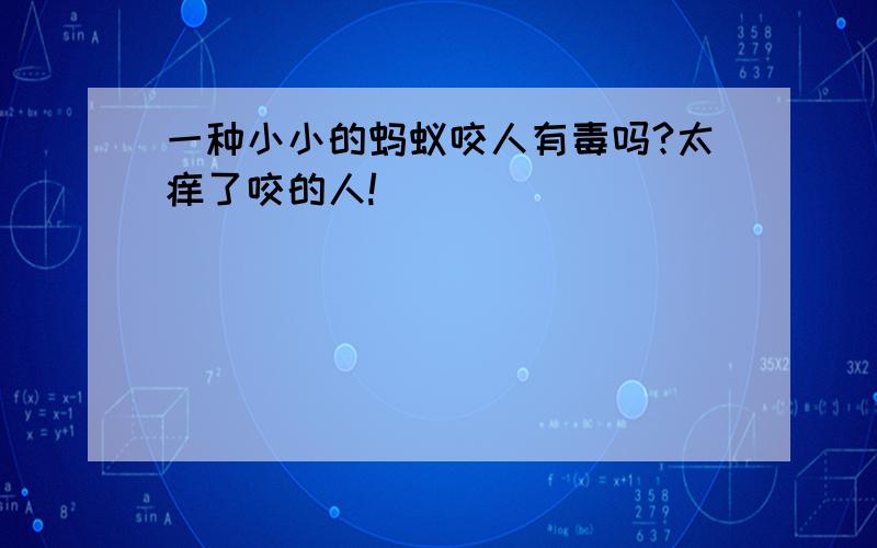 一种小小的蚂蚁咬人有毒吗?太痒了咬的人!