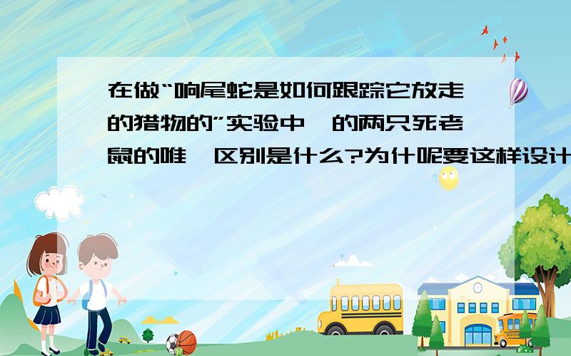 在做“响尾蛇是如何跟踪它放走的猎物的”实验中,的两只死老鼠的唯一区别是什么?为什呢要这样设计?