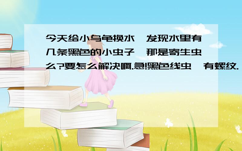 今天给小乌龟换水、发现水里有几条黑色的小虫子、那是寄生虫么?要怎么解决啊.急!黑色线虫、有螺纹.