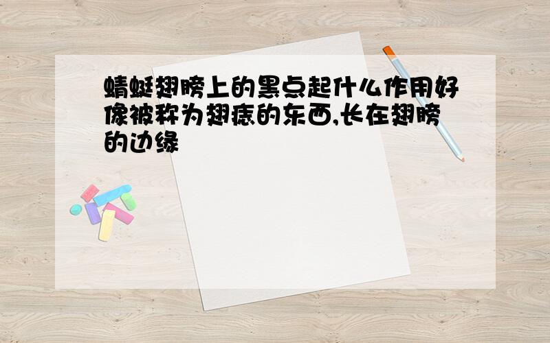 蜻蜓翅膀上的黑点起什么作用好像被称为翅痣的东西,长在翅膀的边缘