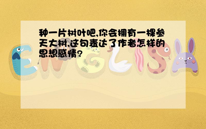 种一片树叶吧,你会拥有一棵参天大树,这句表达了作者怎样的思想感情?