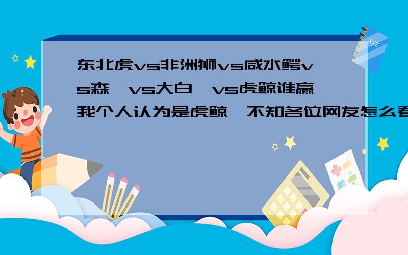 东北虎vs非洲狮vs咸水鳄vs森蚺vs大白鲨vs虎鲸谁赢我个人认为是虎鲸,不知各位网友怎么看?陆地的分一类比,海洋的分一类比