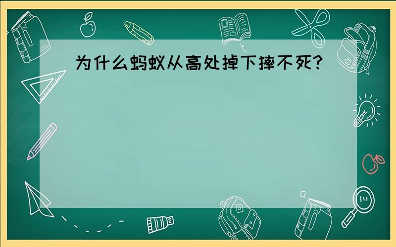 为什么蚂蚁从高处掉下摔不死?