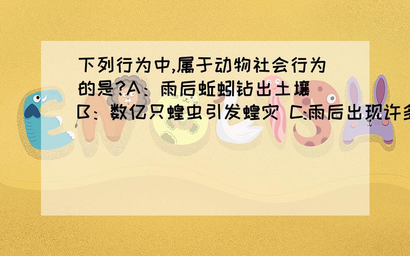 下列行为中,属于动物社会行为的是?A：雨后蚯蚓钻出土壤 B：数亿只蝗虫引发蝗灾 C:雨后出现许多青蛙 D：大象有固定的群体且最老者为首领.