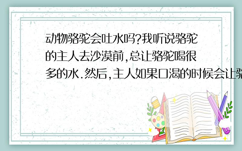 动物骆驼会吐水吗?我听说骆驼的主人去沙漠前,总让骆驼喝很多的水.然后,主人如果口渴的时候会让骆驼吐出一部分水,供主人来喝.这是真的吗?有这种事情吗?