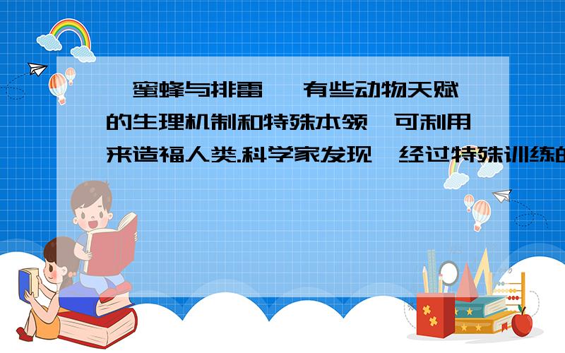 《蜜蜂与排雷》 有些动物天赋的生理机制和特殊本领,可利用来造福人类.科学家发现,经过特殊训练的蜜蜂可以在污染控制和环境监测上大显身手.美国蒙大拿大学研究人员还发现,蜜蜂在寻找