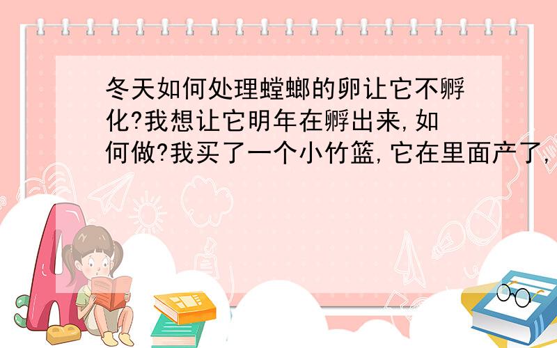 冬天如何处理螳螂的卵让它不孵化?我想让它明年在孵出来,如何做?我买了一个小竹篮,它在里面产了,明年大概几月能孵出来?我好准备食物,