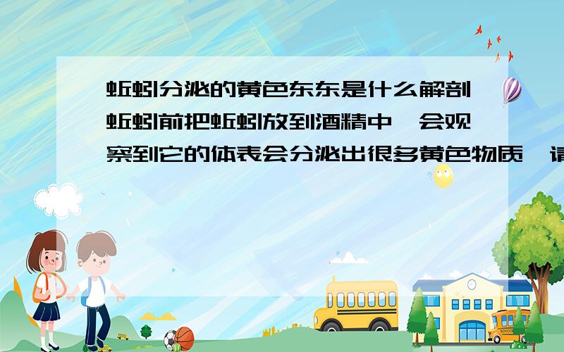 蚯蚓分泌的黄色东东是什么解剖蚯蚓前把蚯蚓放到酒精中,会观察到它的体表会分泌出很多黄色物质,请问那是什么?为什么会出现这种现象?还有,在观察蚯蚓时看见它的体表泛紫色荧光,这是为