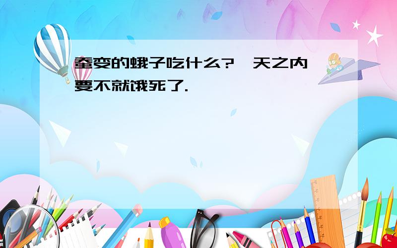 蚕变的蛾子吃什么?一天之内,要不就饿死了.