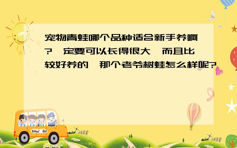 宠物青蛙哪个品种适合新手养啊?一定要可以长得很大,而且比较好养的,那个老爷树蛙怎么样呢?