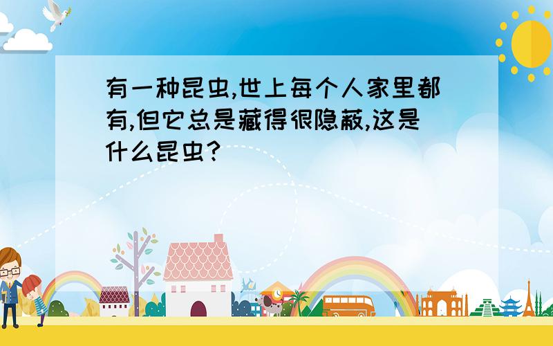 有一种昆虫,世上每个人家里都有,但它总是藏得很隐蔽,这是什么昆虫?