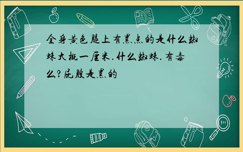 全身黄色腿上有黑点的是什么蜘蛛大概一厘米.什么蜘蛛.有毒么?屁股是黑的