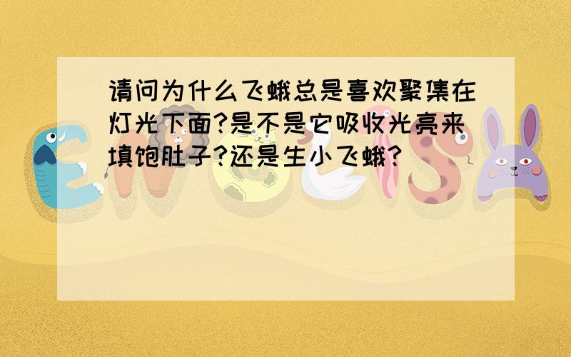 请问为什么飞蛾总是喜欢聚集在灯光下面?是不是它吸收光亮来填饱肚子?还是生小飞蛾?