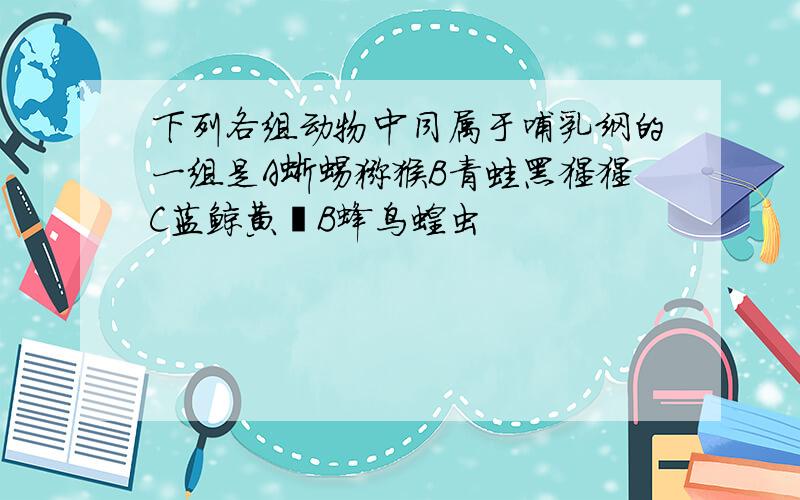 下列各组动物中同属于哺乳纲的一组是A蜥蜴猕猴B青蛙黑猩猩C蓝鲸黄鼬B蜂鸟蝗虫