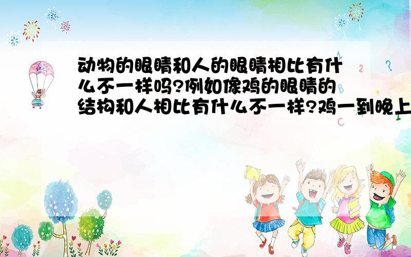 动物的眼睛和人的眼睛相比有什么不一样吗?例如像鸡的眼睛的结构和人相比有什么不一样?鸡一到晚上它的视力就下降的厉害是什么原因?