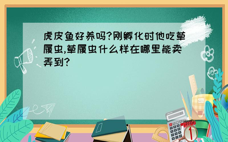 虎皮鱼好养吗?刚孵化时他吃草履虫,草履虫什么样在哪里能卖弄到?